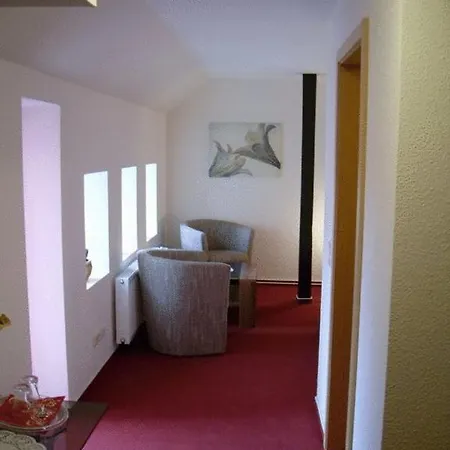 فندق Zum Schwedenkonig 3*